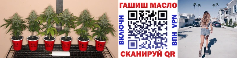 Дистиллят ТГК концентрат  наркотики  Владивосток 