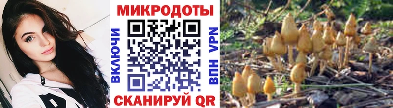 Псилоцибиновые грибы Cubensis  наркошоп  Владивосток 